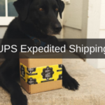 UPS Expedited Shipping